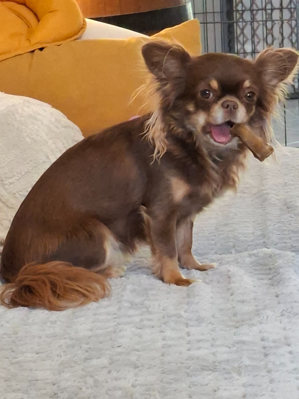 Lilou (Sans Affixe)